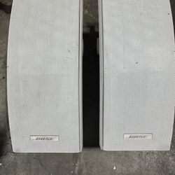 Bose Outdoor Speaker 