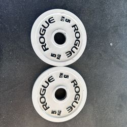 Rogue Fitness 