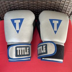 Title Boxing Gloves