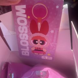 (TRADE) Blossom Miniso Blind box. Regular costume Version