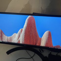 29 Inches Monitor LG 29UM68-P 