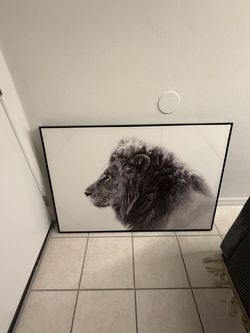 Large Framed Black and White Lion Wall Art