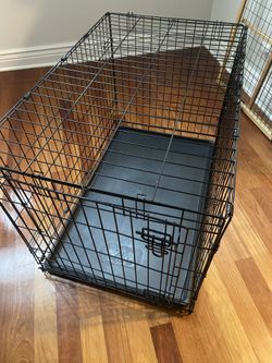 Medium Dog Crate