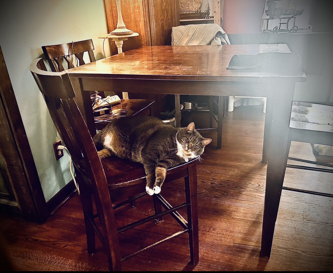 Square Wooden Tall Table- Bistro Height