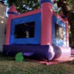 Jumper Cashel For Sale 