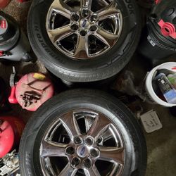 Chrome 18" Rims From 2019 F150