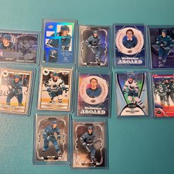 San Jose Sharks 