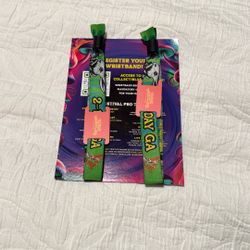 Beyond Wonderland Wristbands George