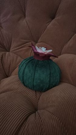 Cactus pillow