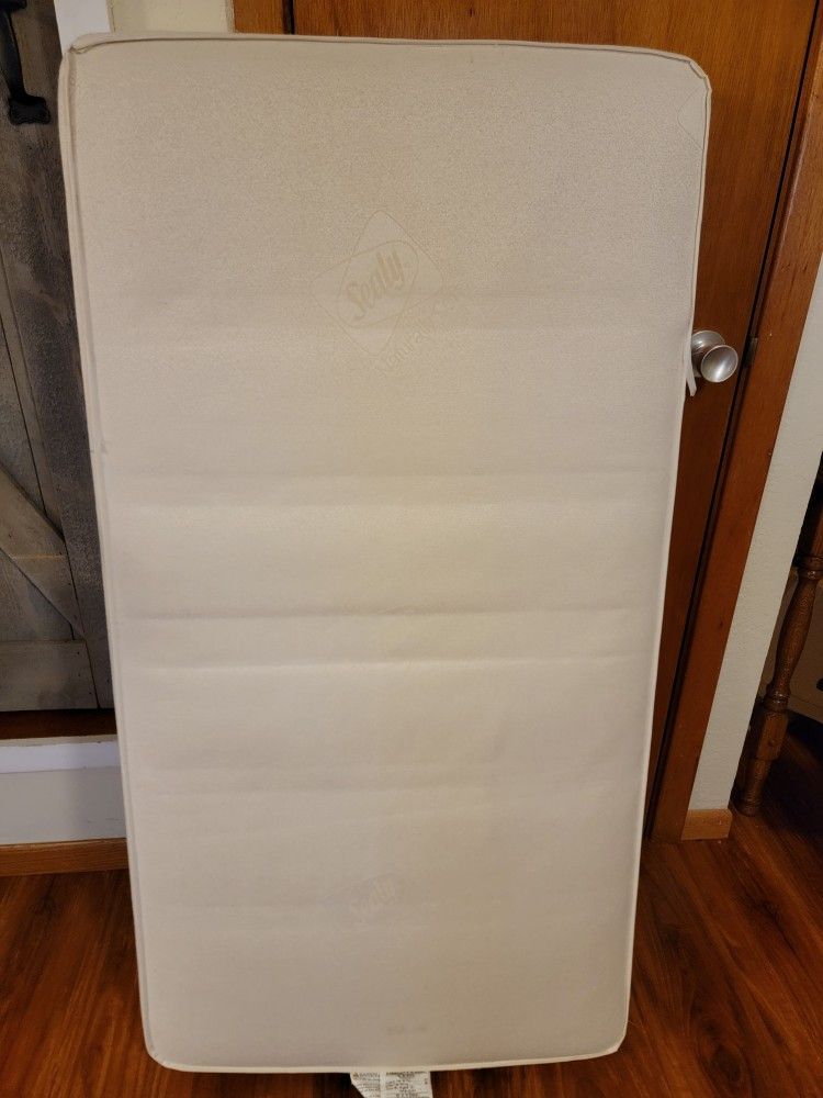 Toddler Mattress Sealy Brand
