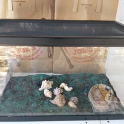 Hermit Crab 10 Gallon Tank, Shells & Sand Mix