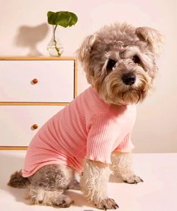 pet tee