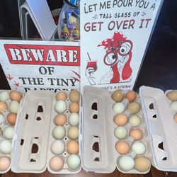 Egg-carton