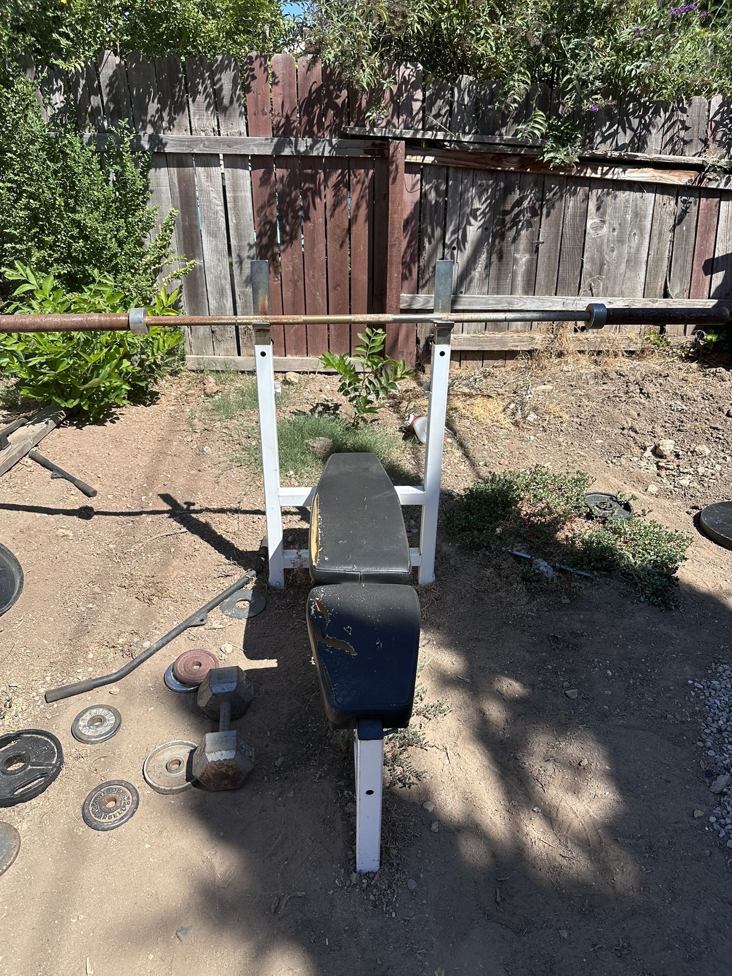 Weight Bench W/ Olympic Bar
