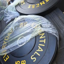 35 lb Bumper Plate Weights 