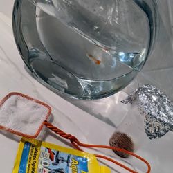 Fish Bowl/Tank 