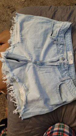 Brand new Hollister jean shorts