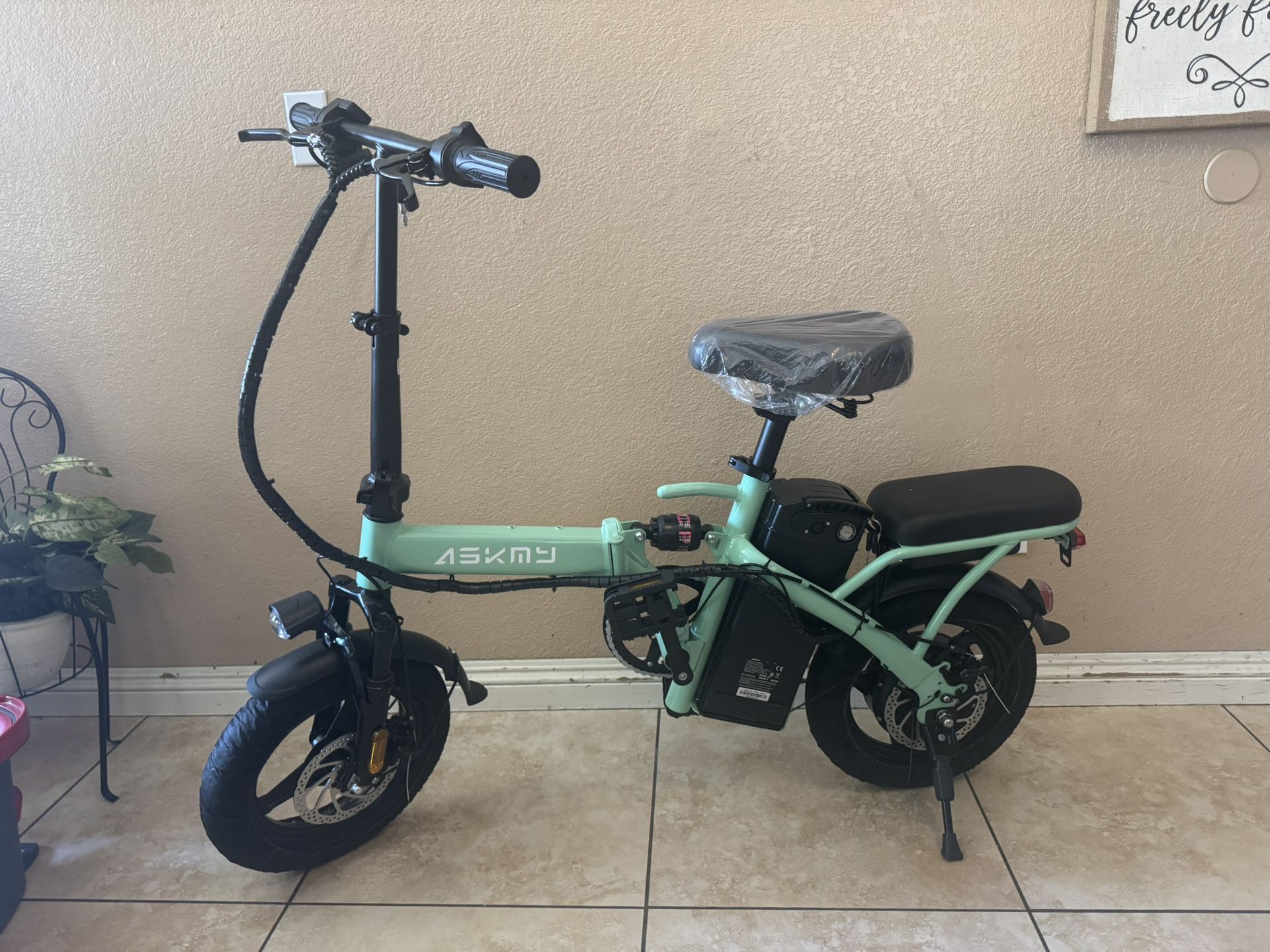 folding electric bike