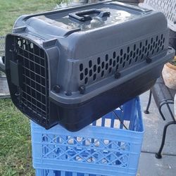 Carrington Cage  For Cats Or Dogs Moving Sell!!!
