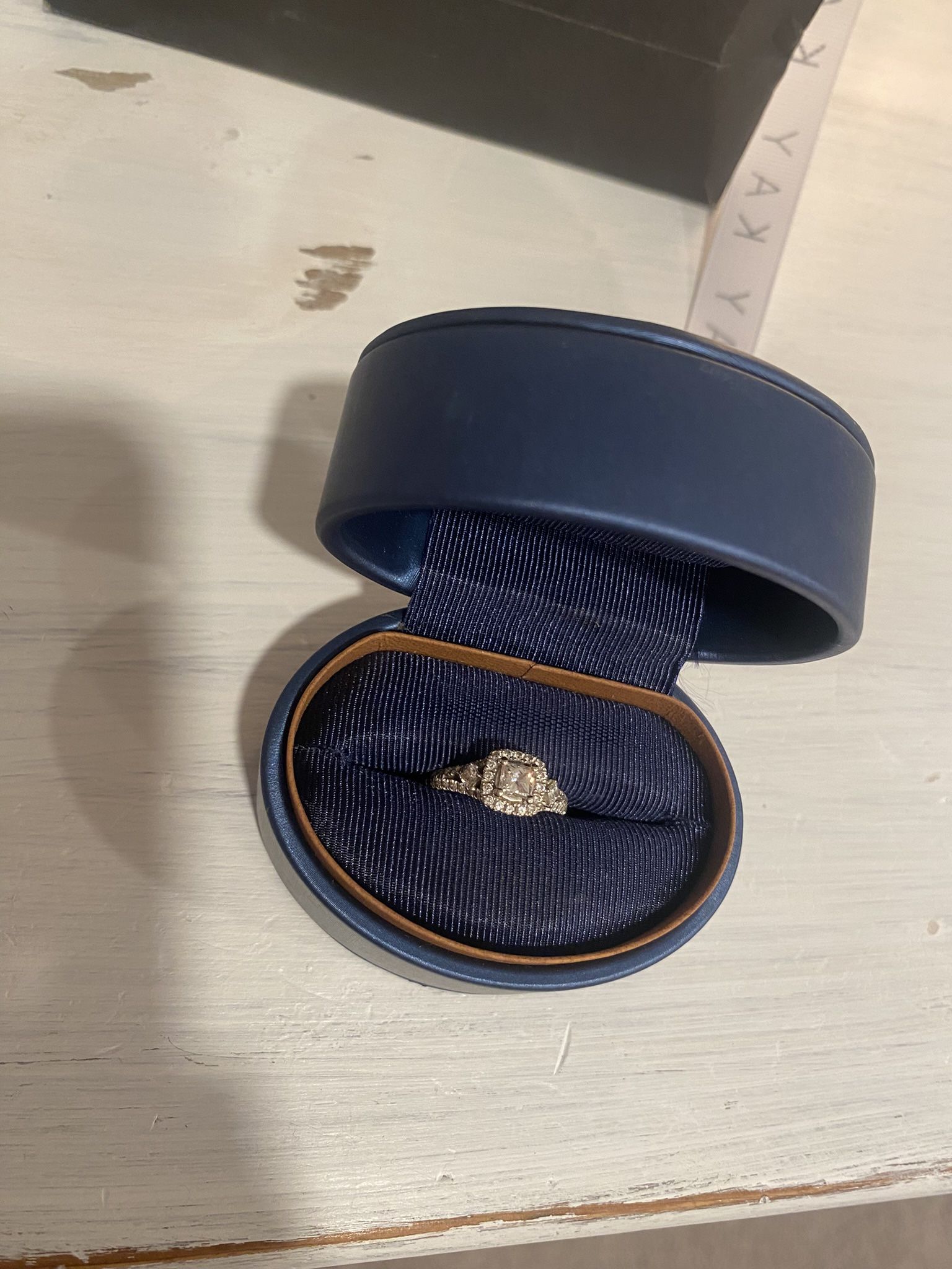 Leo bridal Princess Cut Engagement Ring 