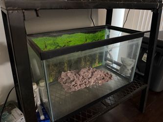 Aquarium 10 gallons