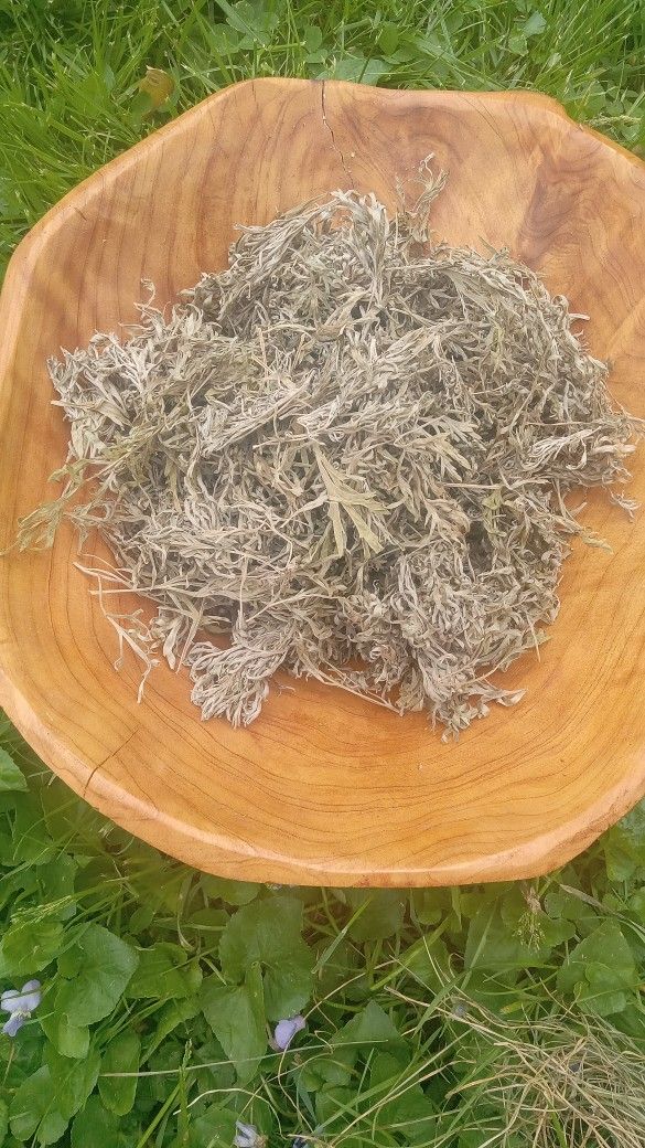 Organic Dired Wormwood