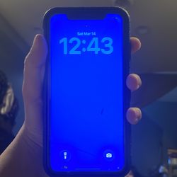 iPhone 11 trade for e bike for mini bike or mini motorcycle for kids