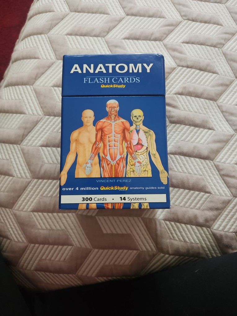 Anatomy Flash Cards