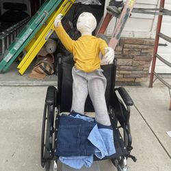 Free Wheelchair, Granny pants & Little Timmy 