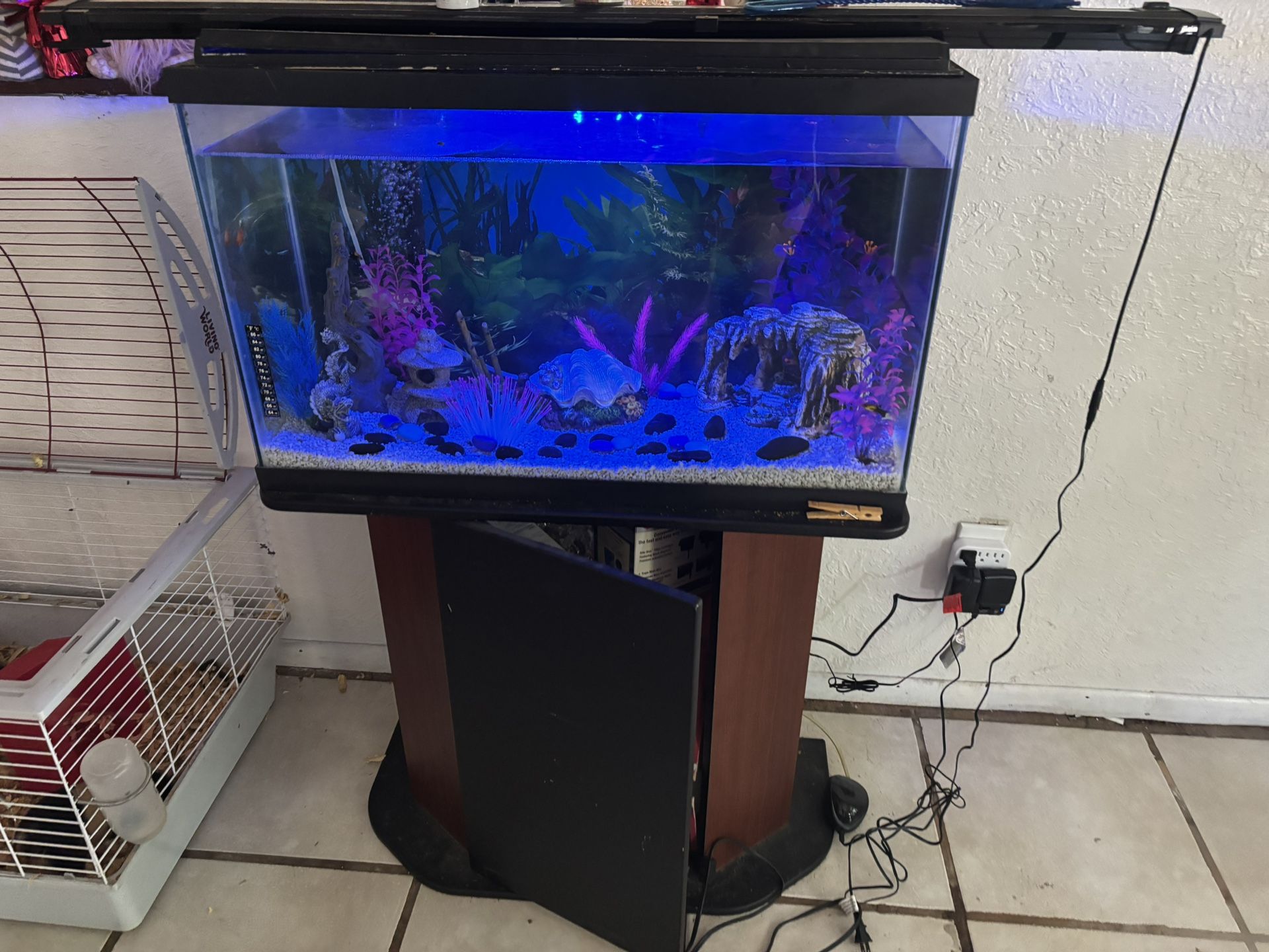 Fish Take Fish Decor Included