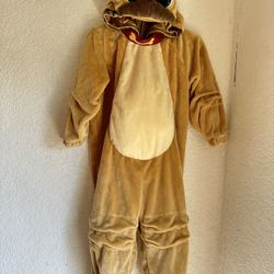 Costumes Of Pit-bull Puppy 