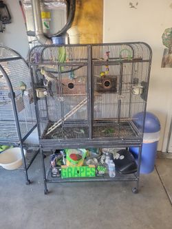 Bird Cage