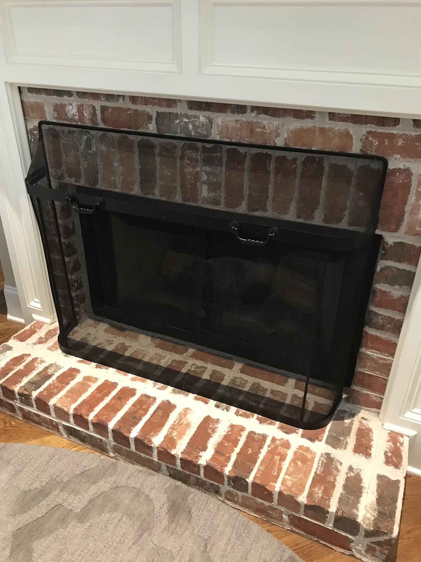 Fireplace screen