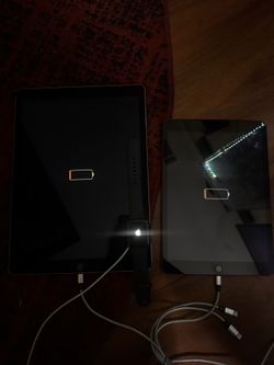 Apple Bundle
