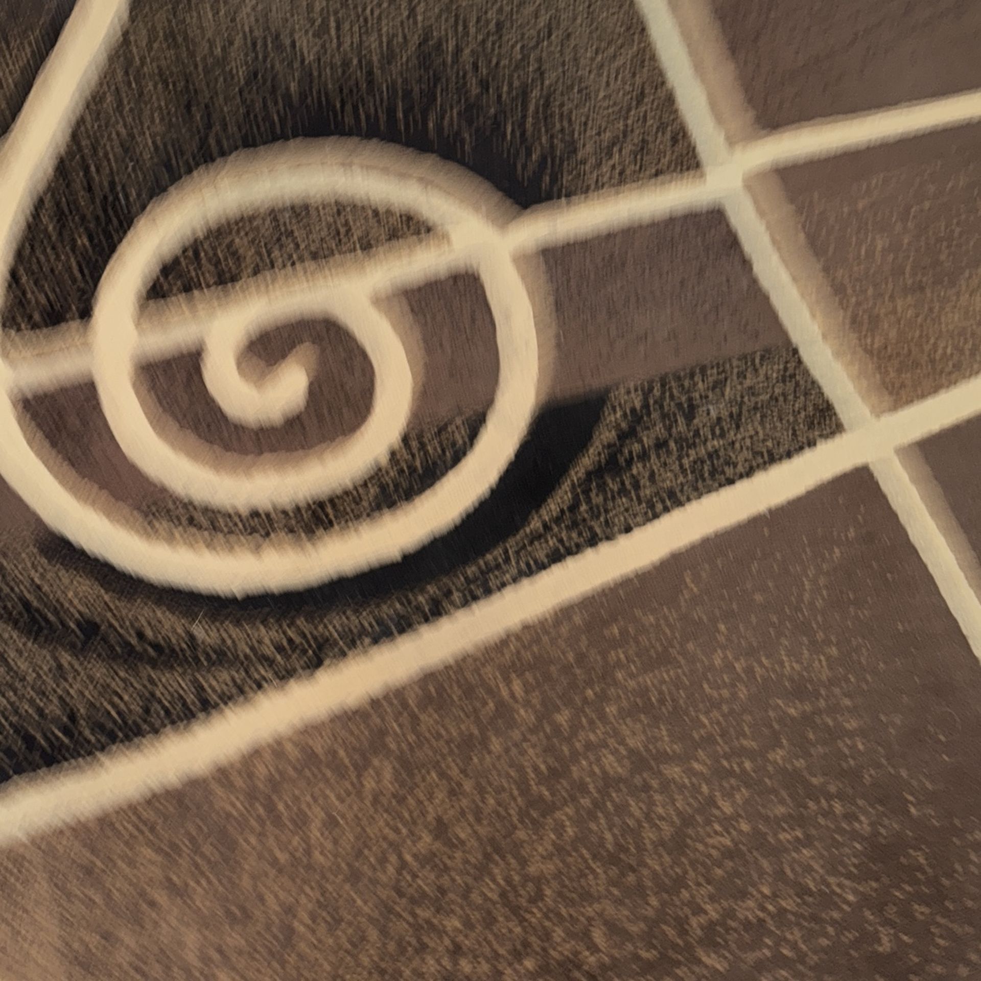 XL Carpet For Sale Home decor