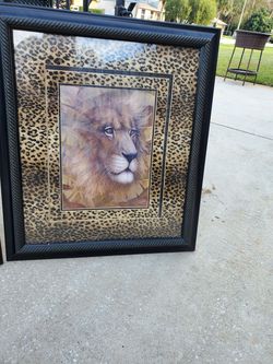 Big safari pictures/ mirror