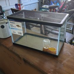 10 Gallon Tank With Screen Lid