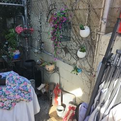 Big Plant Yard Sale Everything Is For Sale 