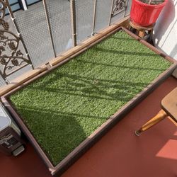 Porch Potty For Dog
