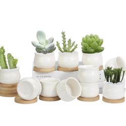 New 12 Pack Succulent Pots, 2.6 Inch Mini Ceramic Pots for Flower or Cactus Plants with Drainage Hole,Plants Not Included