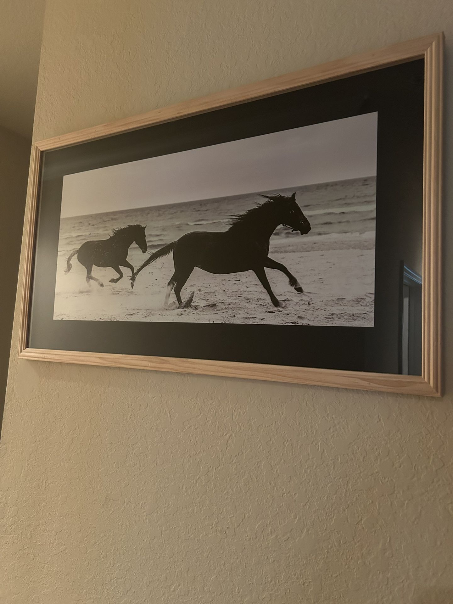 Horses On The Beach Framed Photograph