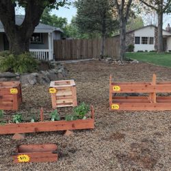 Planter Boxes 