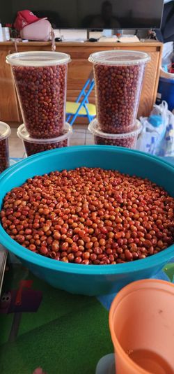 Chiltepin de Sonora Chiltepin de Sonora