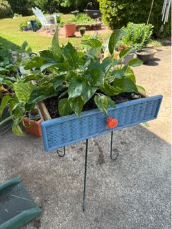 Plant drawer