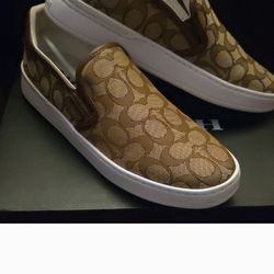 Coach shoes