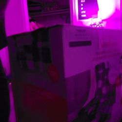 Sunbeam Heated Blankets .