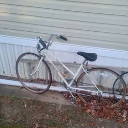 Womens Bicycle Shwinn