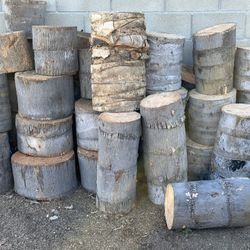 Palm Tree Stumps