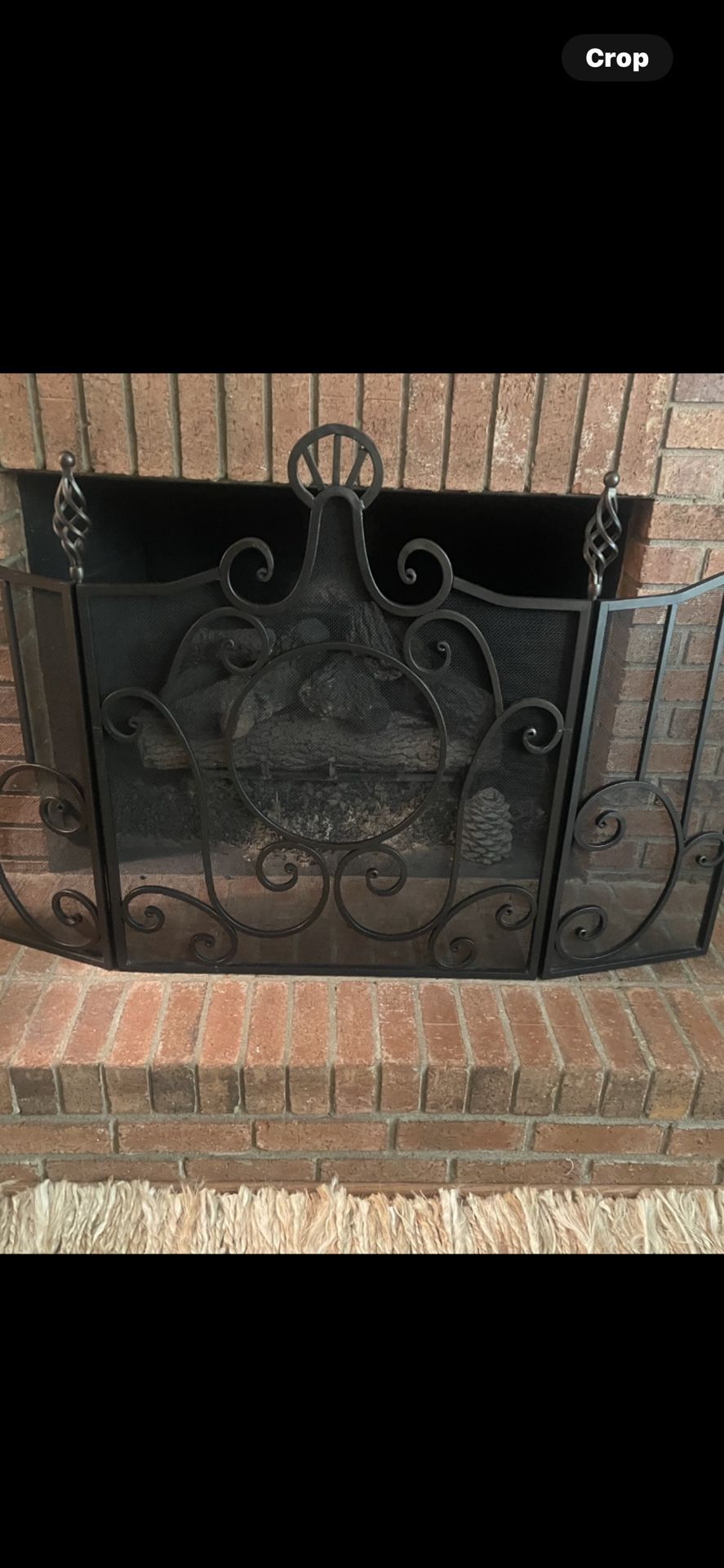 Fire Place Secreen