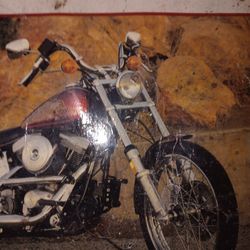 Harley Davidson Sportster 1200c